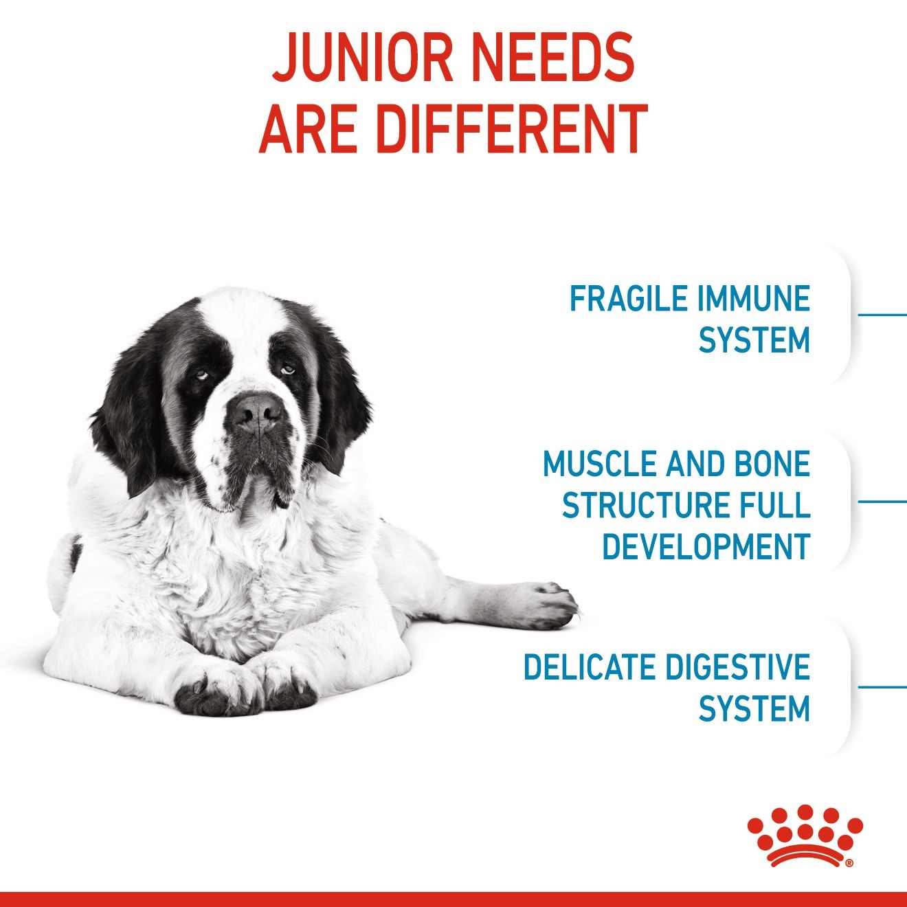 Royal Canin Giant Junior Dry Dog Food 14kg | CSQZP6785