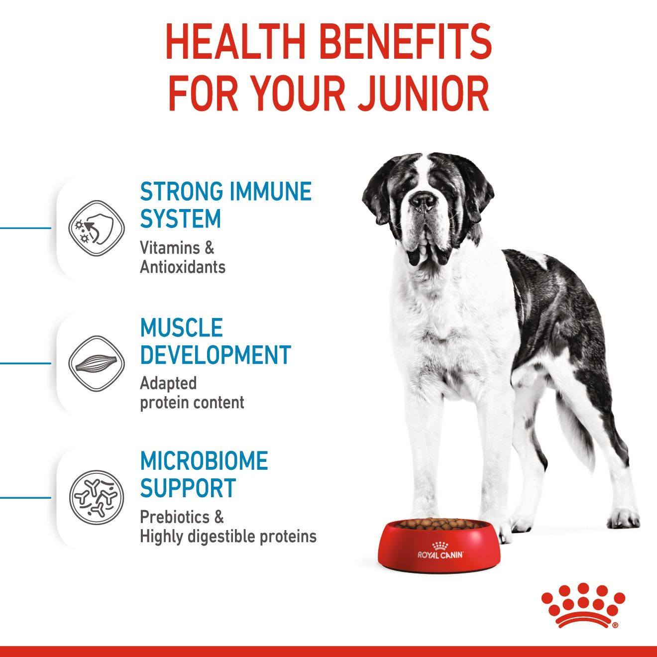 Royal Canin Giant Junior Dry Dog Food 14kg | CSQZP6785