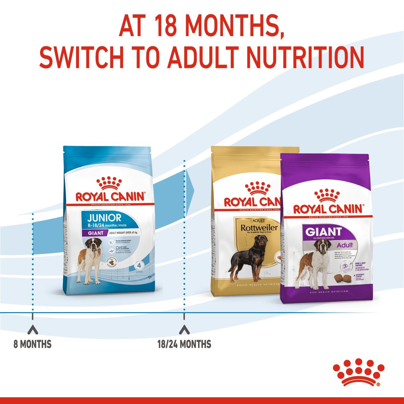 Royal Canin Giant Junior Dry Dog Food 14kg | CSQZP6785
