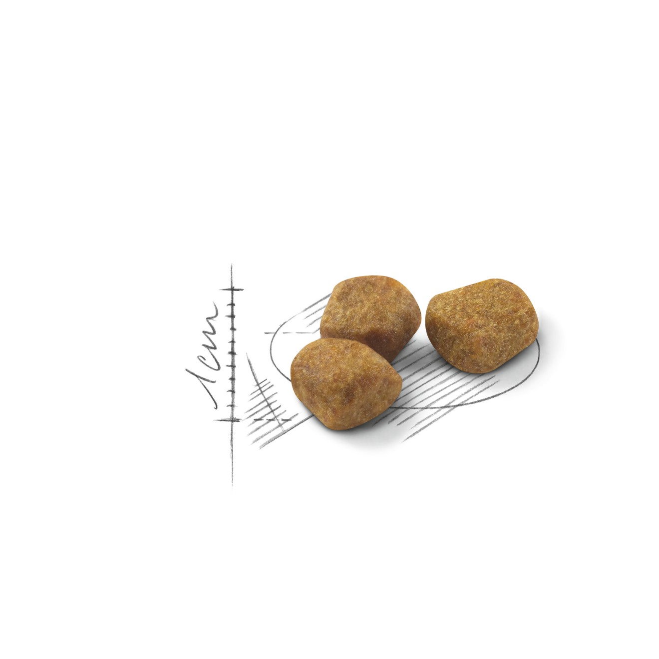 Royal Canin Indoor 7+ Dry Cat Food 2.5kg | YEGKJ2195