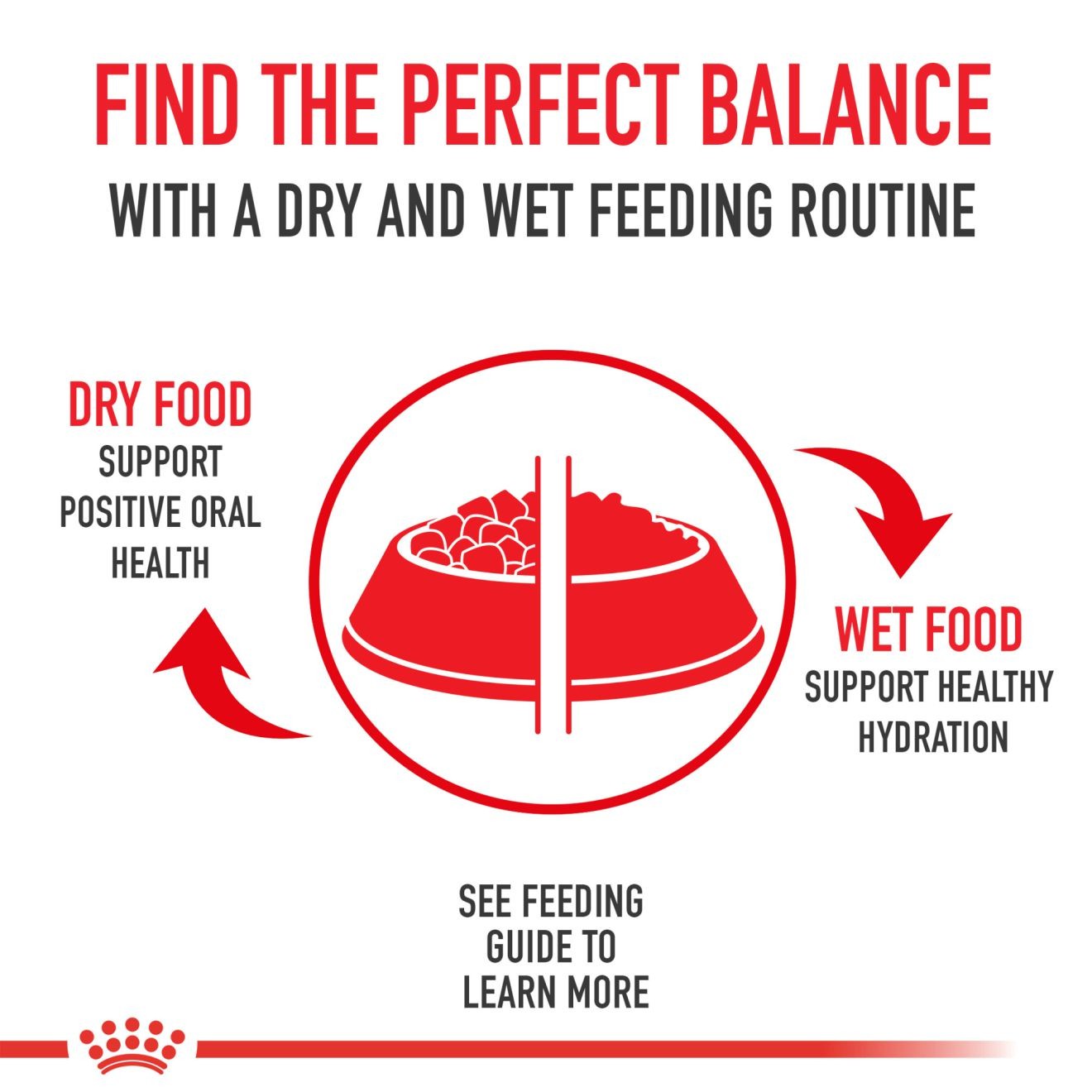Royal Canin Indoor Adult Morsels in Gravy Canned Wet Cat Food 24 x 85g | MXEAC4150