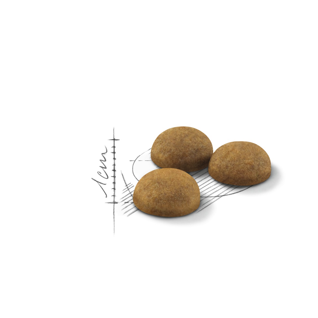 Royal Canin Indoor Long Hair Dry Cat Food 3kg | UPZTS3568