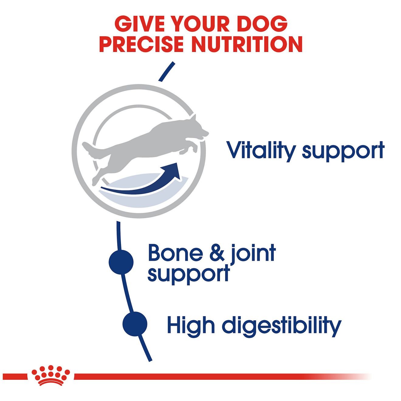 Royal Canin Large Adult 5+ Dry Dog Food 14kg | FHLRJ8016