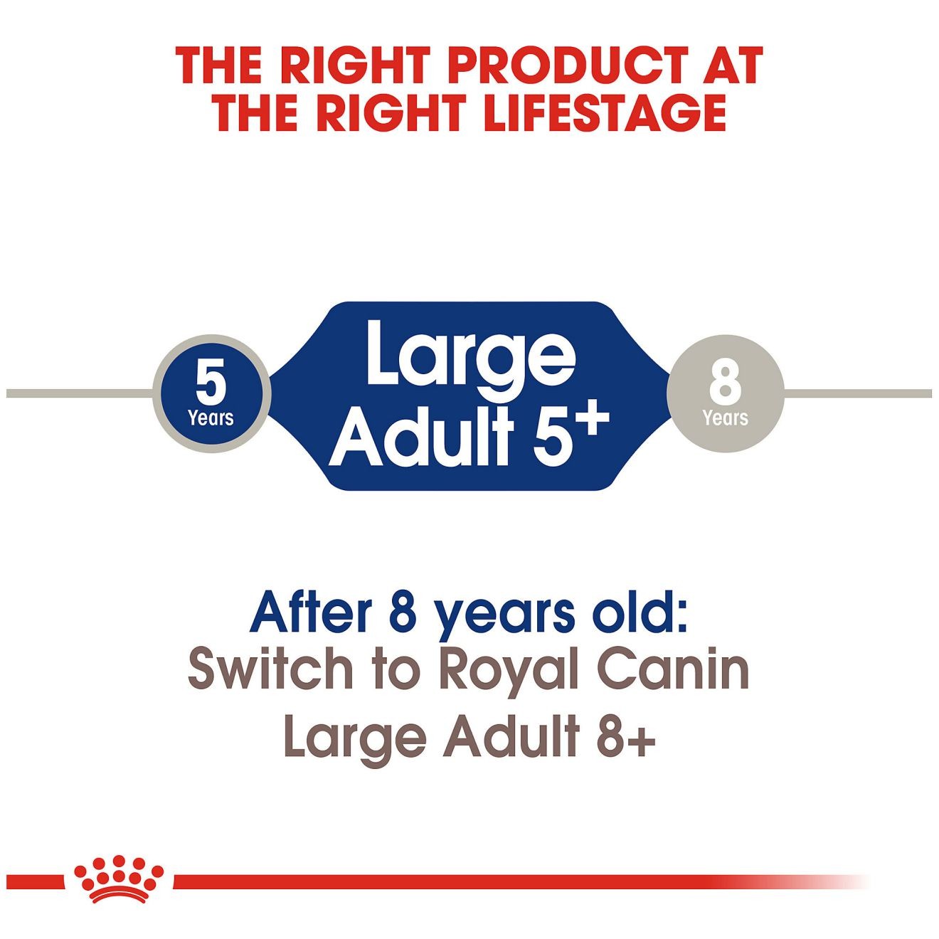 Royal Canin Large Adult 5+ Dry Dog Food 14kg | FHLRJ8016