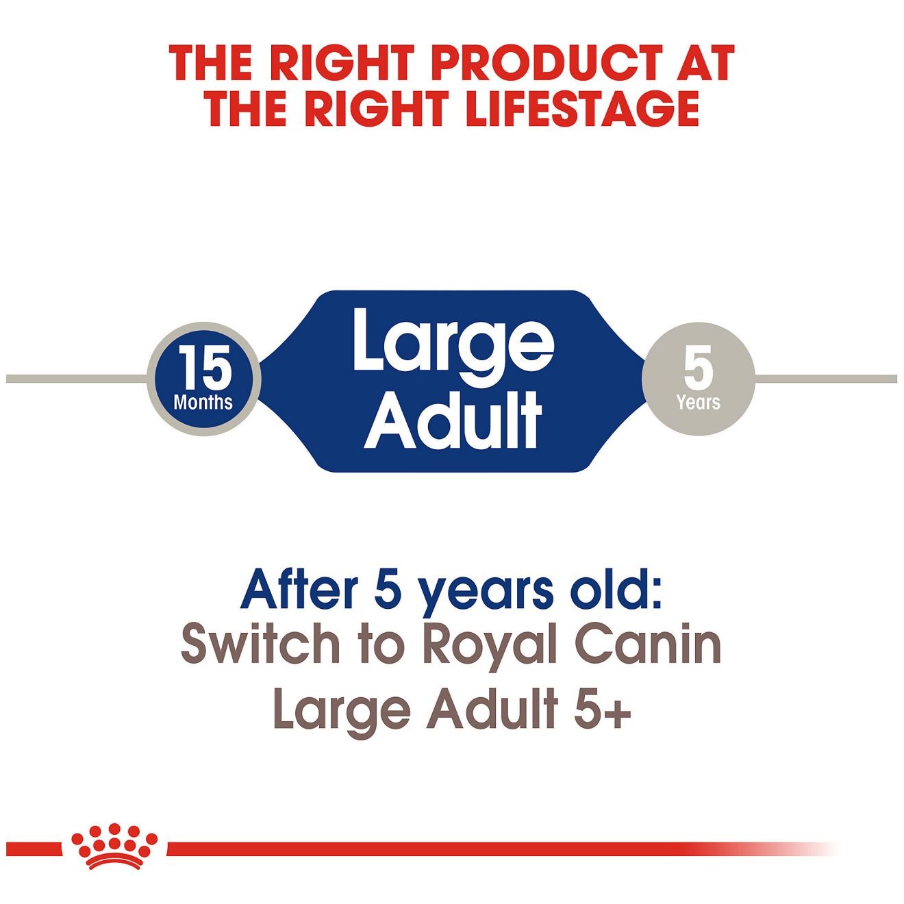 Royal Canin Large Adult Dry Dog Food 3kg | CDIPL5290