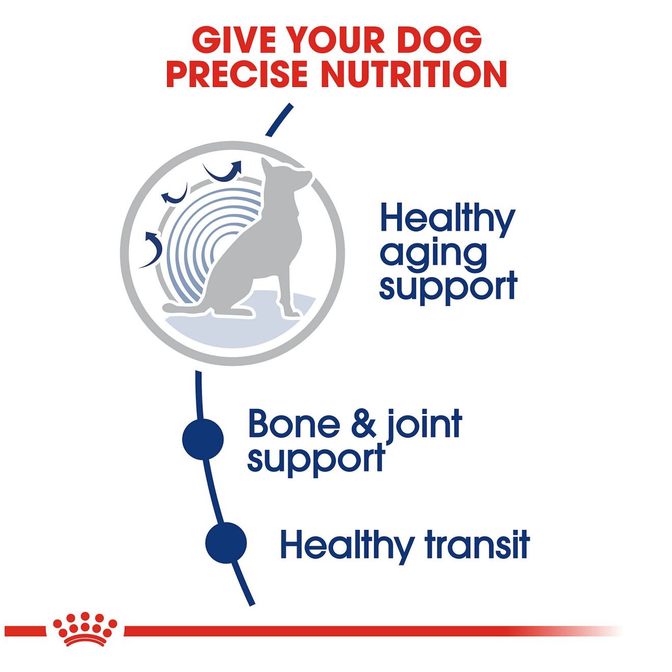 Royal Canin Large Aging 8+ Dry Dog Food 14kg | THCBR5819