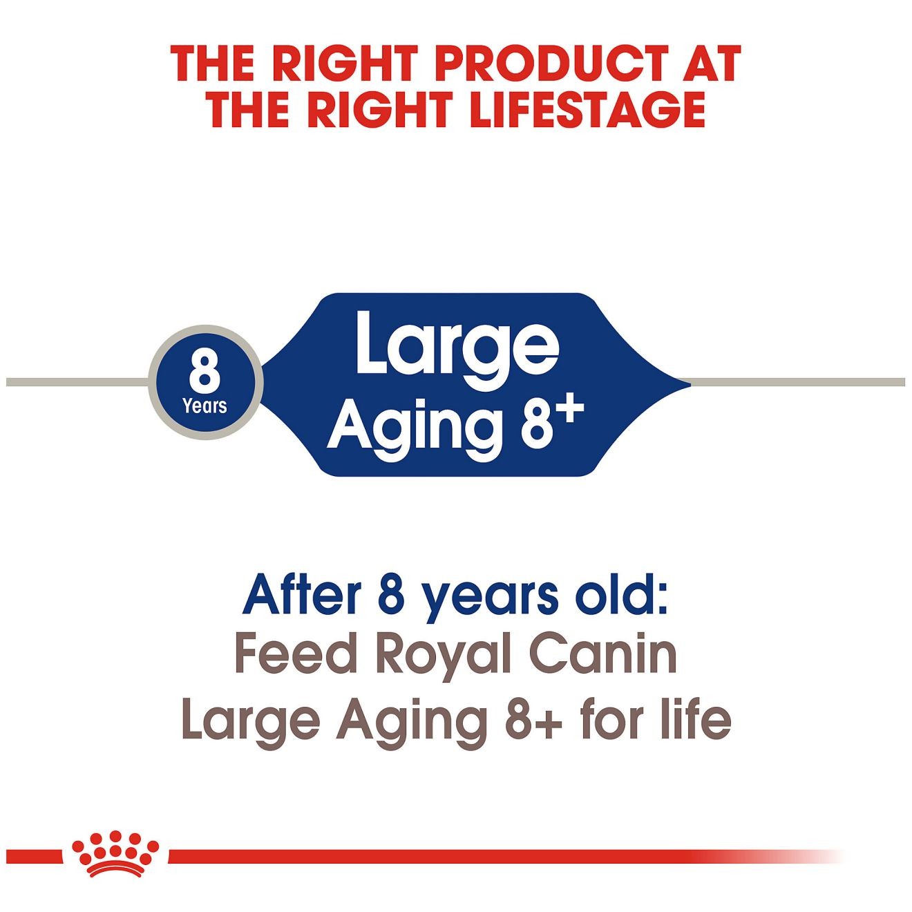 Royal Canin Large Aging 8+ Dry Dog Food 14kg | THCBR5819