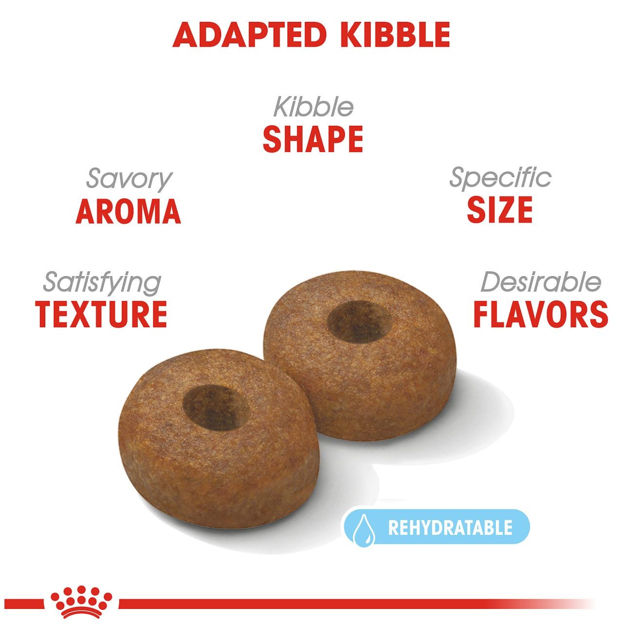 Royal Canin Large Aging 8+ Dry Dog Food 14kg | THCBR5819