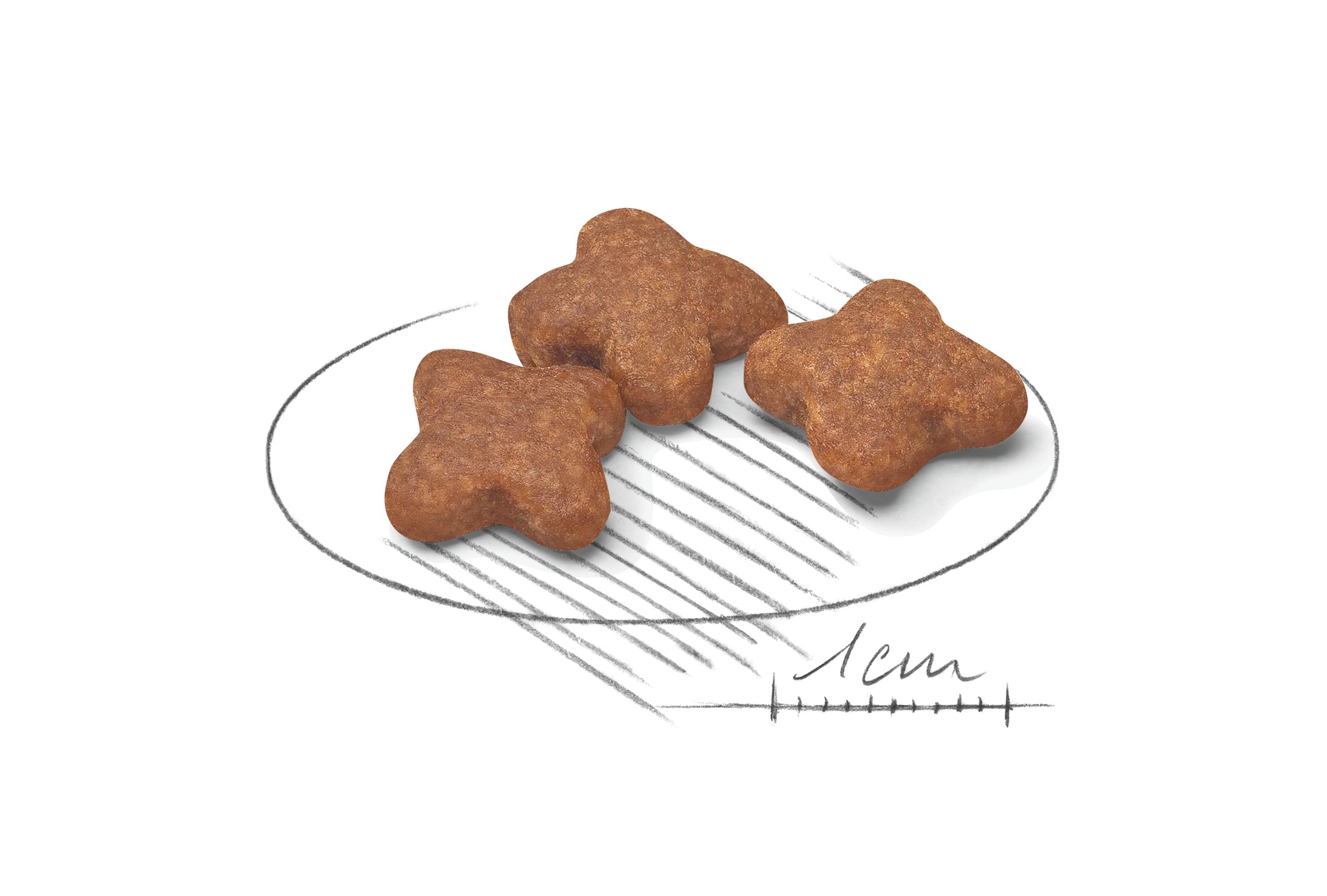 Royal Canin Small Adult 8+ Dry Dog Food 1kg | FASXD1947