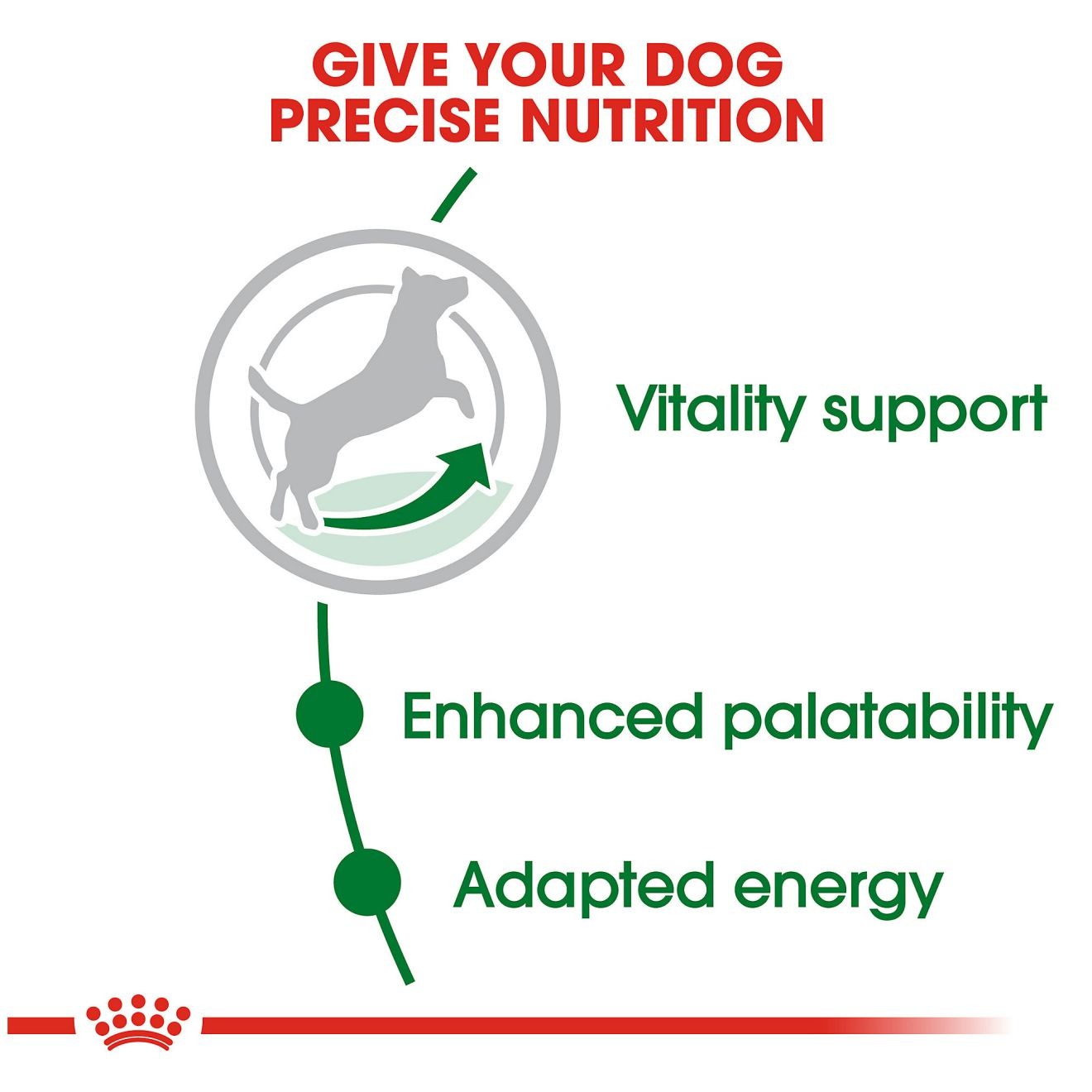 Royal Canin Small Adult 8+ Dry Dog Food 1kg | FASXD1947