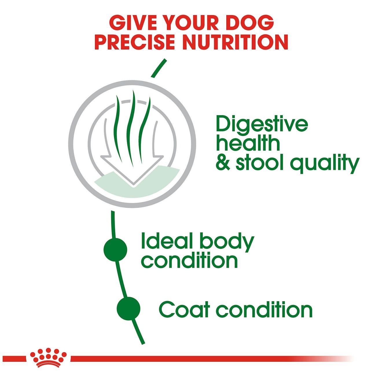 Royal Canin Small Indoor Adult Dry Dog Food 1kg | JGUCL0392