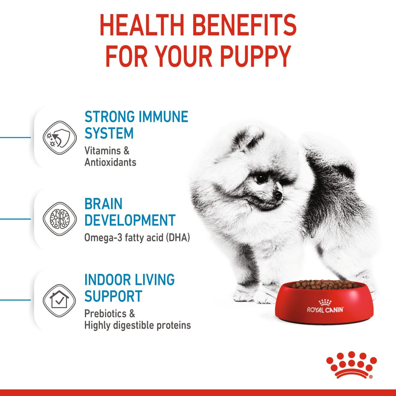 Royal Canin Small Indoor Puppy Dry Dog Food 1kg | ACDOI0382