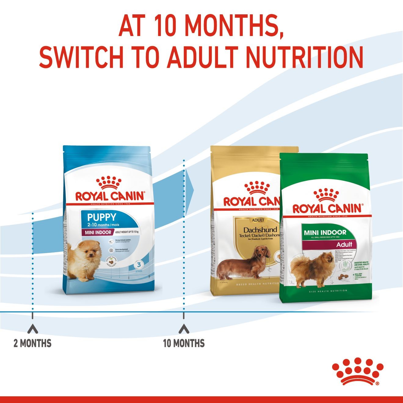 Royal Canin Small Indoor Puppy Dry Dog Food 1kg | ACDOI0382